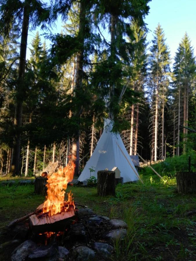 Dame Vam Pokoj - 4 Pokoje Se Sdilenou Kuchyni, Kapacita Max 9 Osob Harrachov Zewnętrze zdjęcie