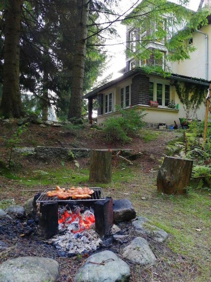 Dame Vam Pokoj - 4 Pokoje Se Sdilenou Kuchyni, Kapacita Max 9 Osob Harrachov Zewnętrze zdjęcie
