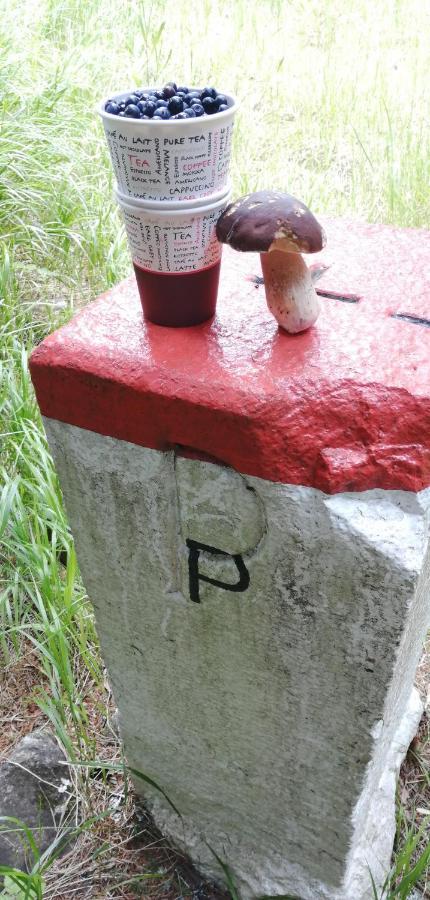 Dame Vam Pokoj - 4 Pokoje Se Sdilenou Kuchyni, Kapacita Max 9 Osob Harrachov Zewnętrze zdjęcie