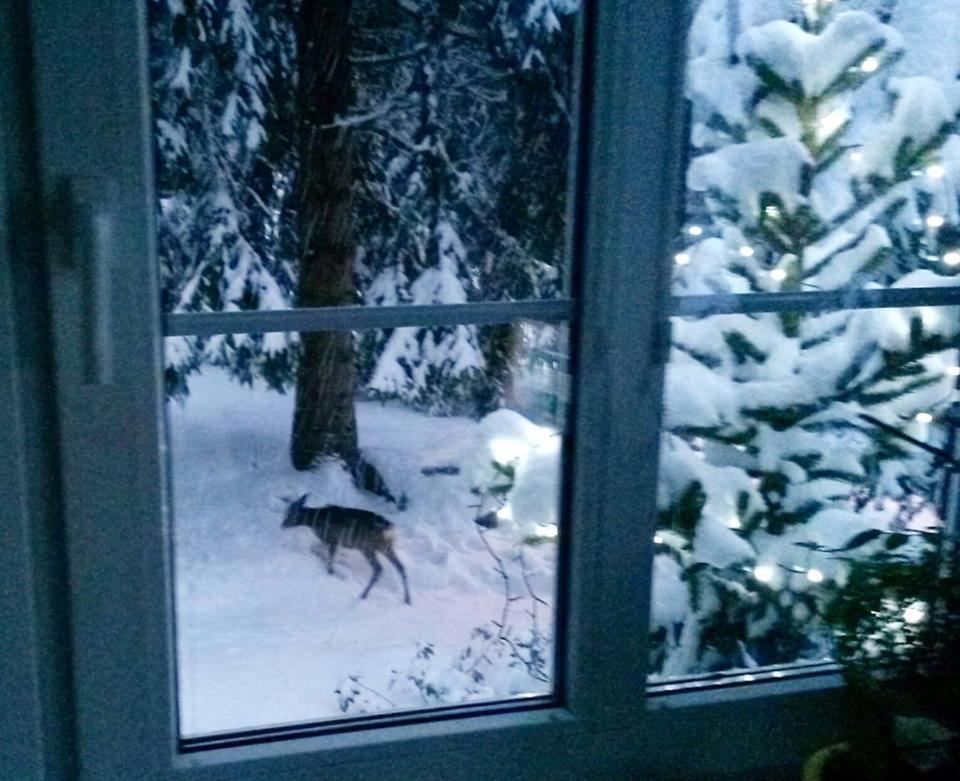 Dame Vam Pokoj - 4 Pokoje Se Sdilenou Kuchyni, Kapacita Max 9 Osob Harrachov Zewnętrze zdjęcie
